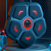 Boxing Punching Target Pad Q1 (Kraft Box)